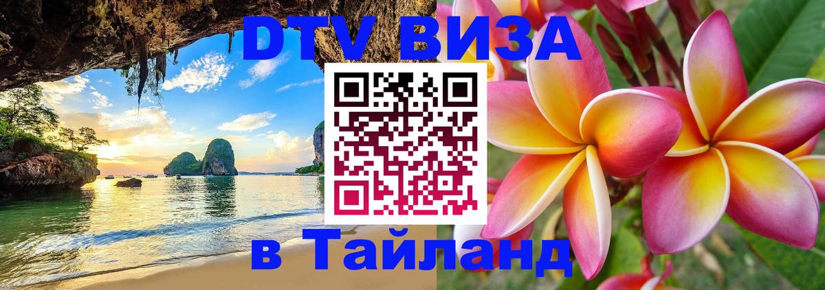 Оформление DTV визы под ключ: стоимость и тарифы, только загранпаспорт - 
